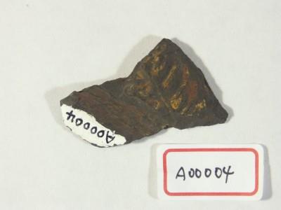 木化石藏品圖，第2張